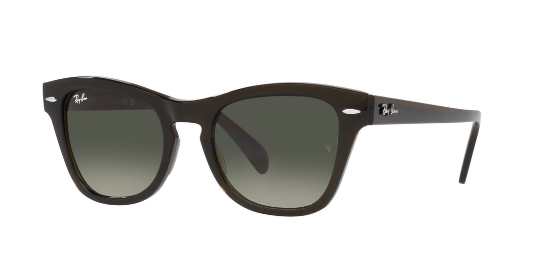 Sonnenbrillen ray-ban rb0707s 664271 unisex größe 50mm - Hauptansicht