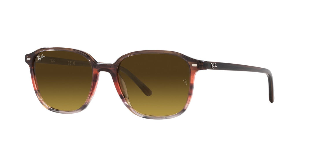RAY-BAN RB2193 LEONARD 138085 53