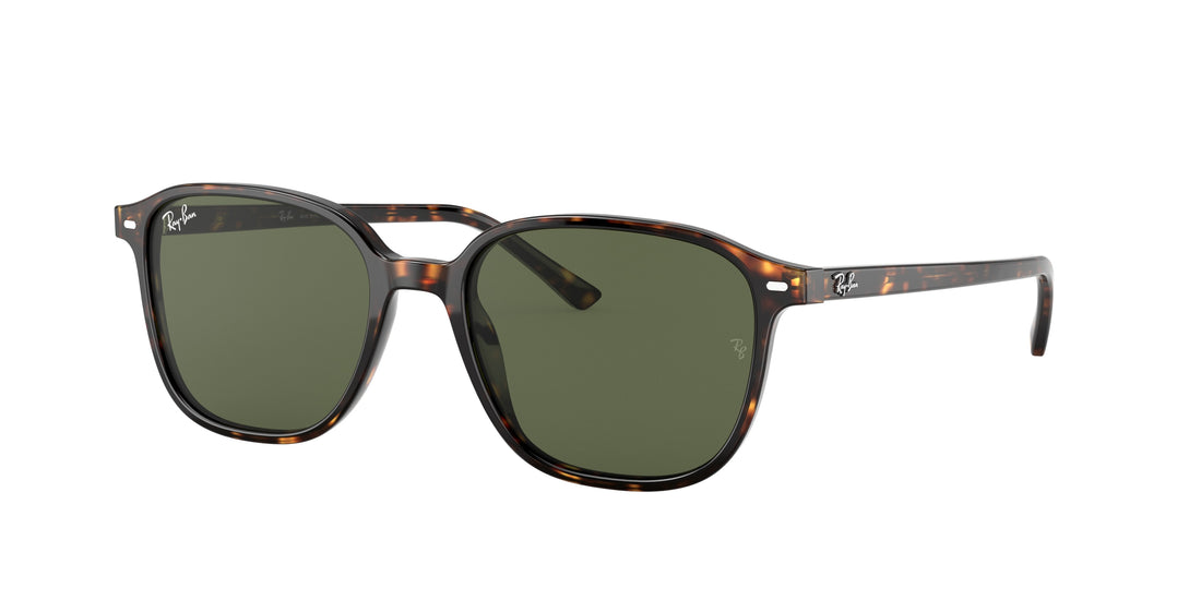 Sunglasses ray-ban rb2193 leonard 902/31 unisex size 53mm - Main view