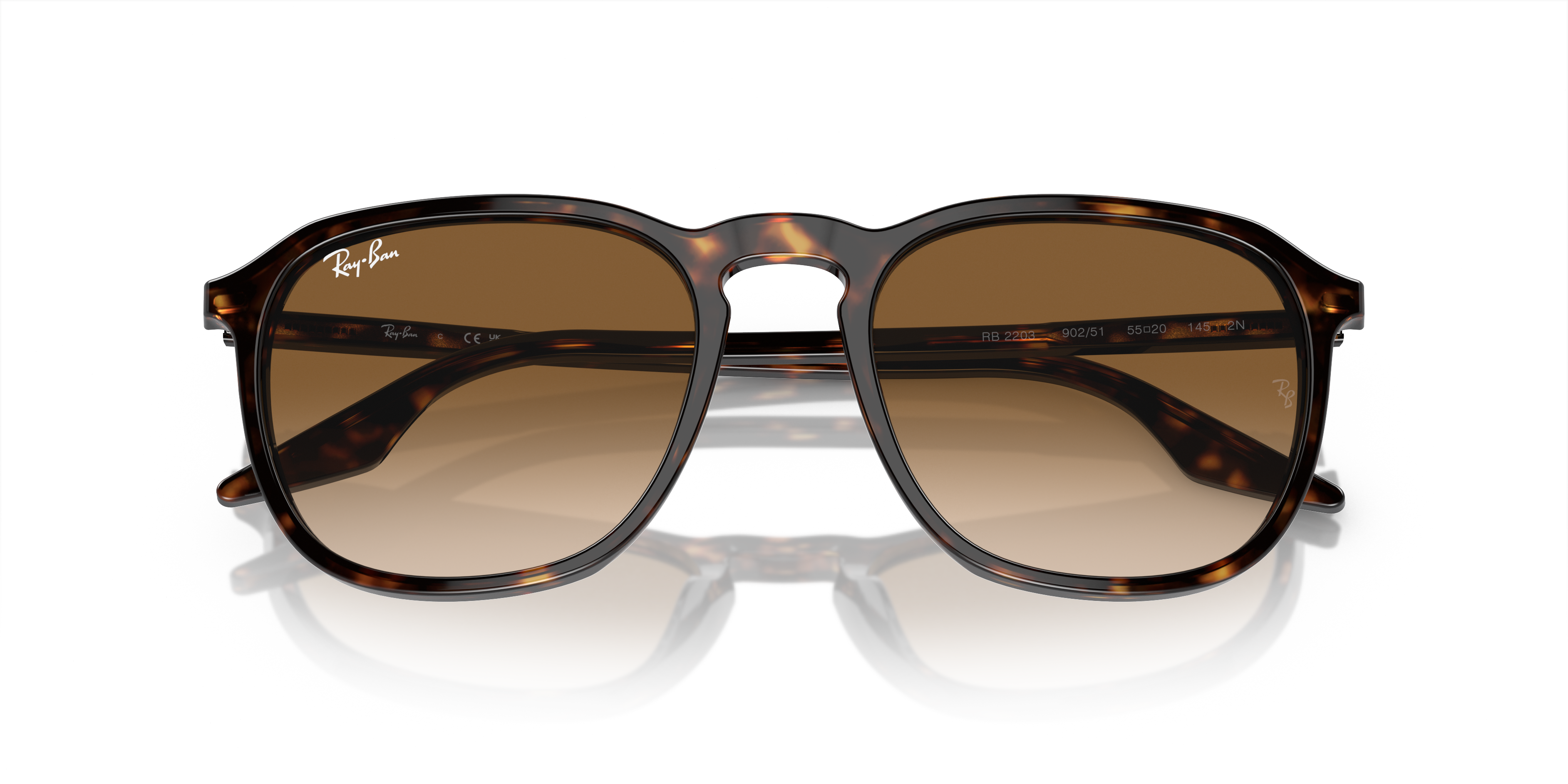RAY-BAN RB2203 902/51 55
