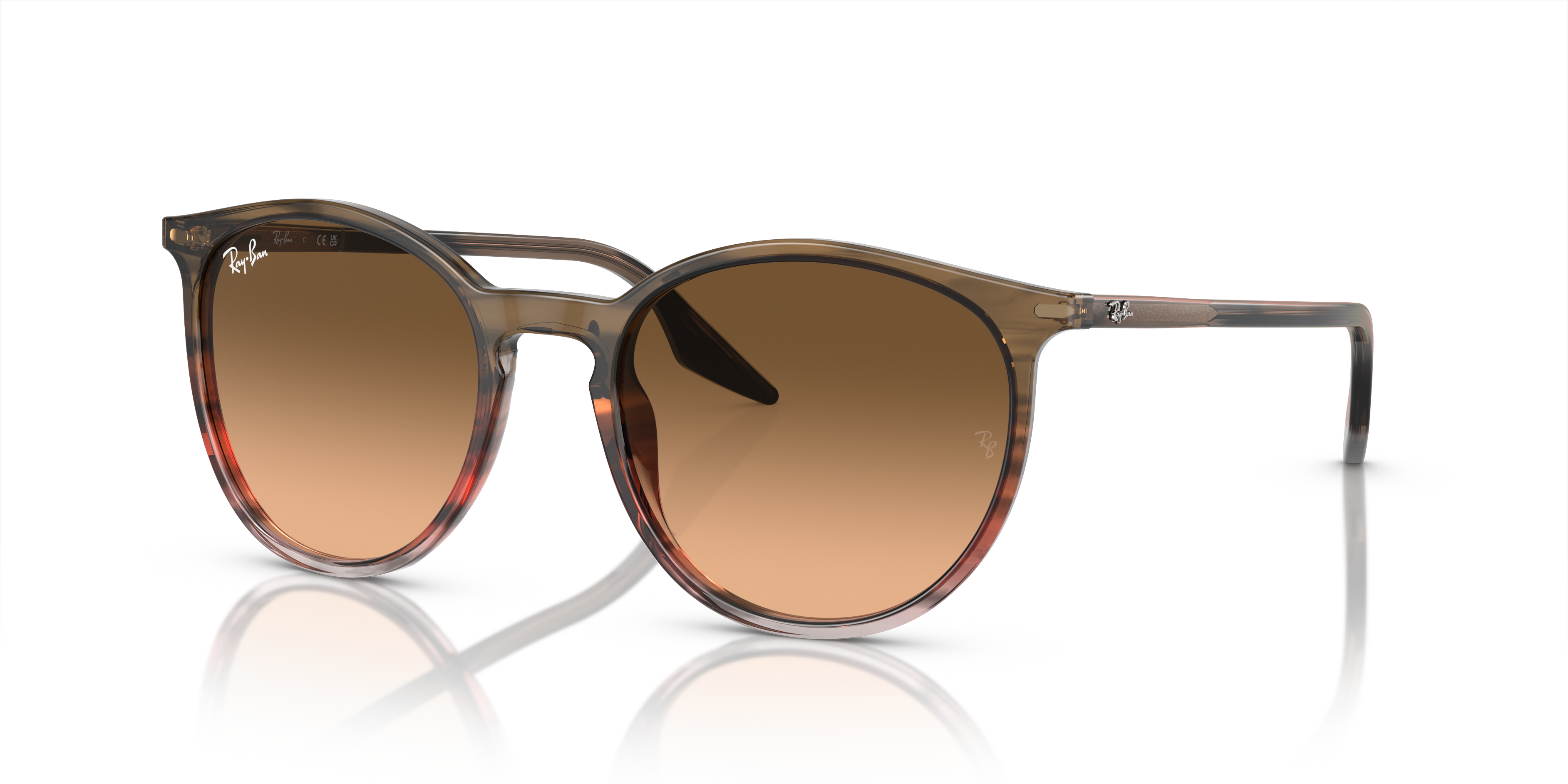 RAY-BAN RB2204 13953B 54