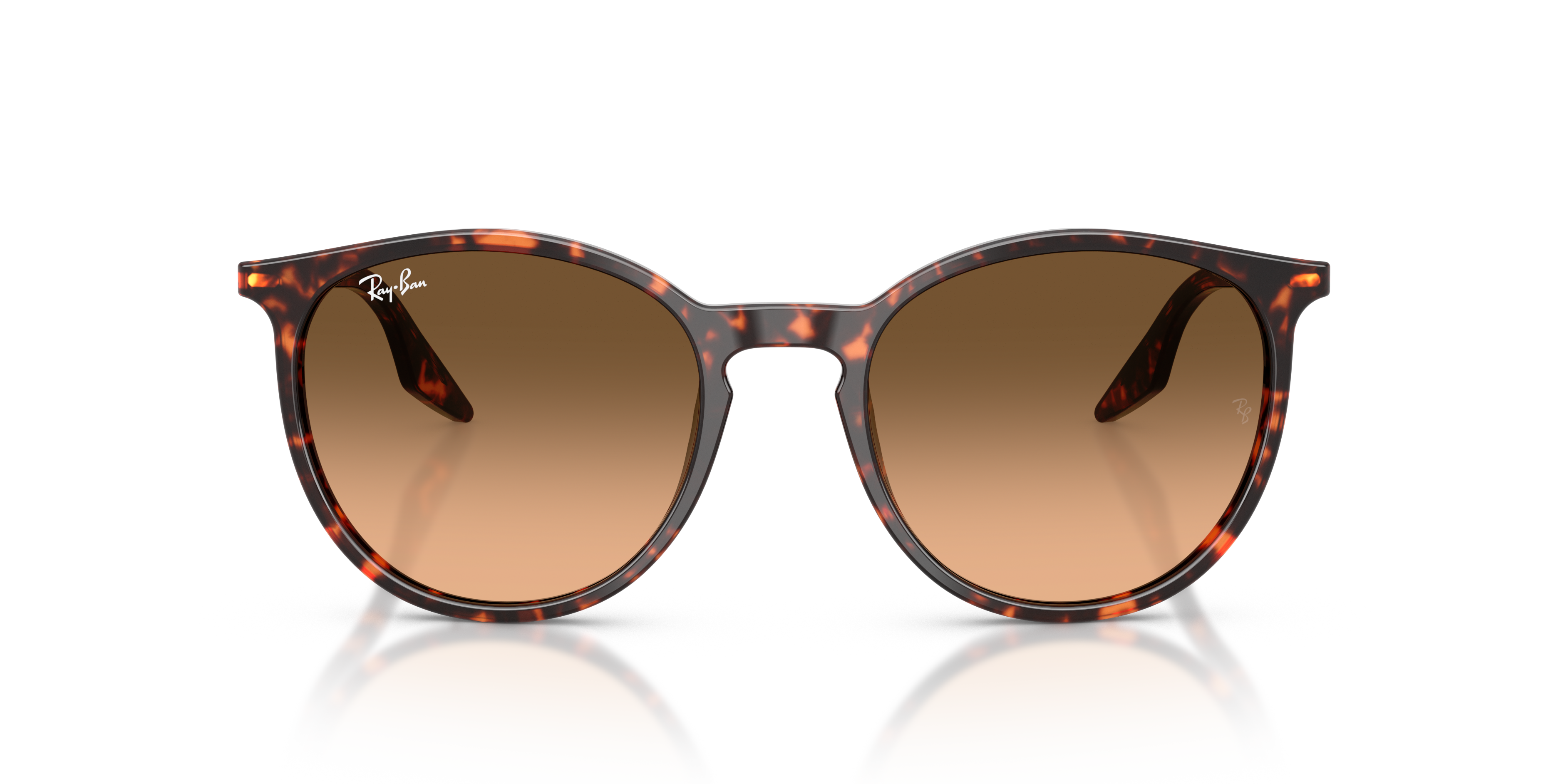 RAY-BAN RB2204 14293B 54
