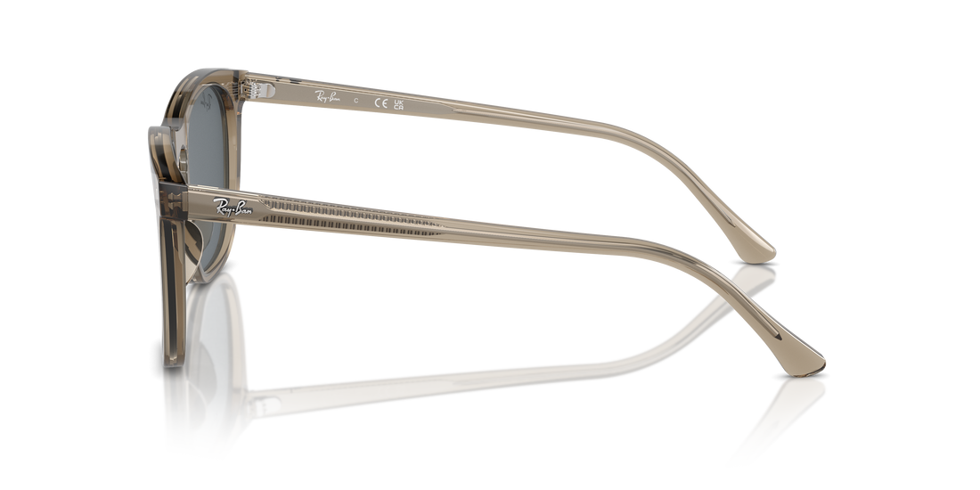 RAY-BAN RB2210 6765R5 53