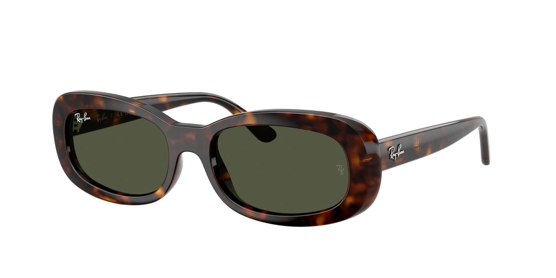 Occhiali da sole ray-ban rb2221 902/31 havana oval femenino taglia 53mm - Vista principale