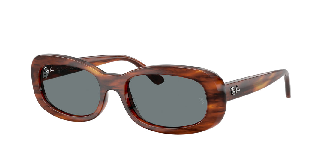 Lunettes de soleil ray-ban rb2221 954/62 marron oval femenino taille 53mm - Vue principale