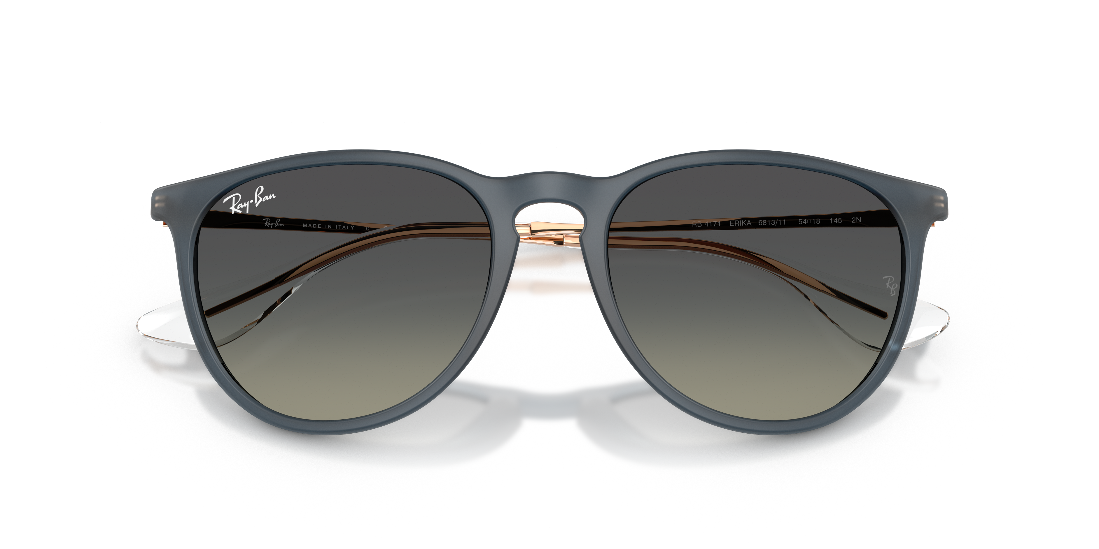 RAY-BAN RB4171 ERIKA 681311 54