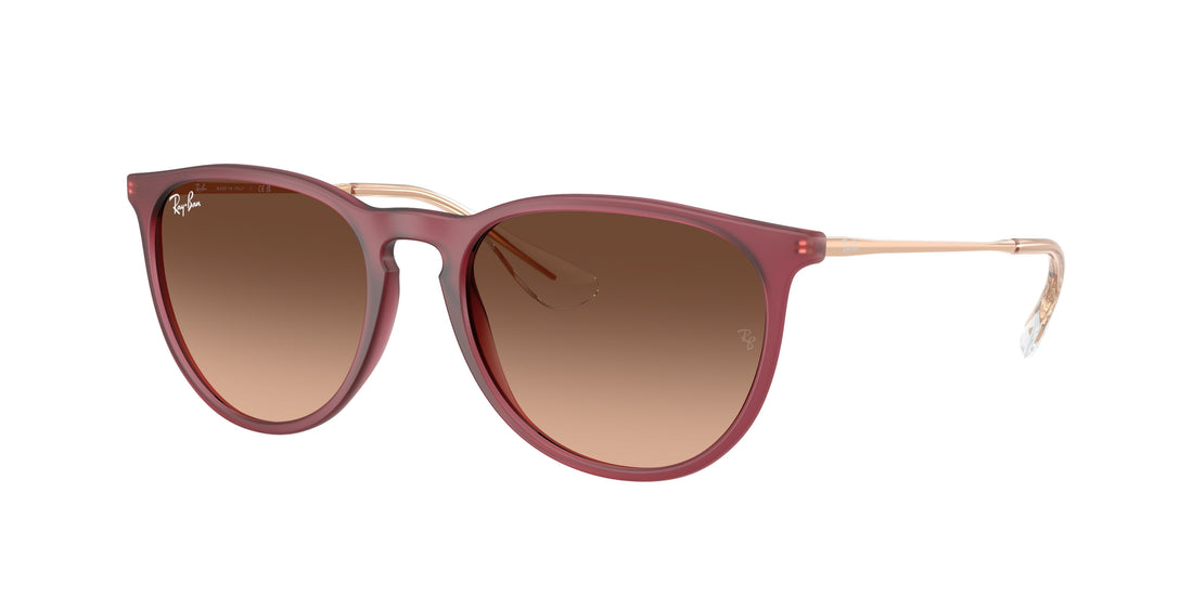 Occhiali da sole ray-ban rb4171 erika 6815a5 violeta pantos femenino taglia 54mm - Vista principale