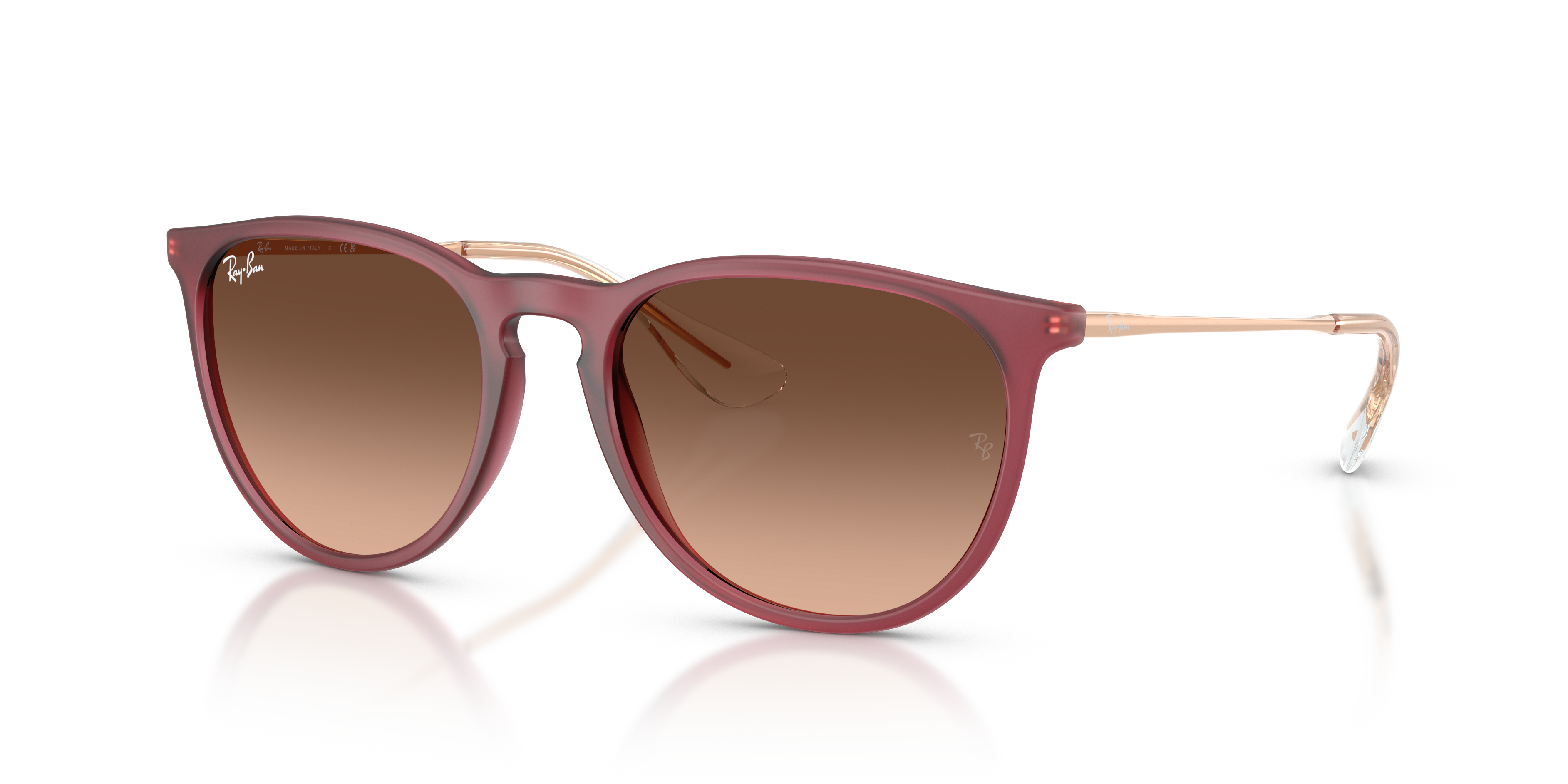 RAY-BAN RB4171 ERIKA 6815A5 54