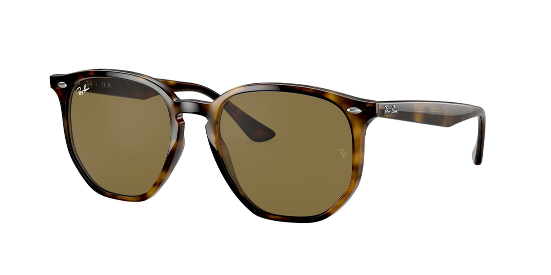 Sonnenbrillen ray-ban rb4306 710/73 unisex größe 54mm - Hauptansicht