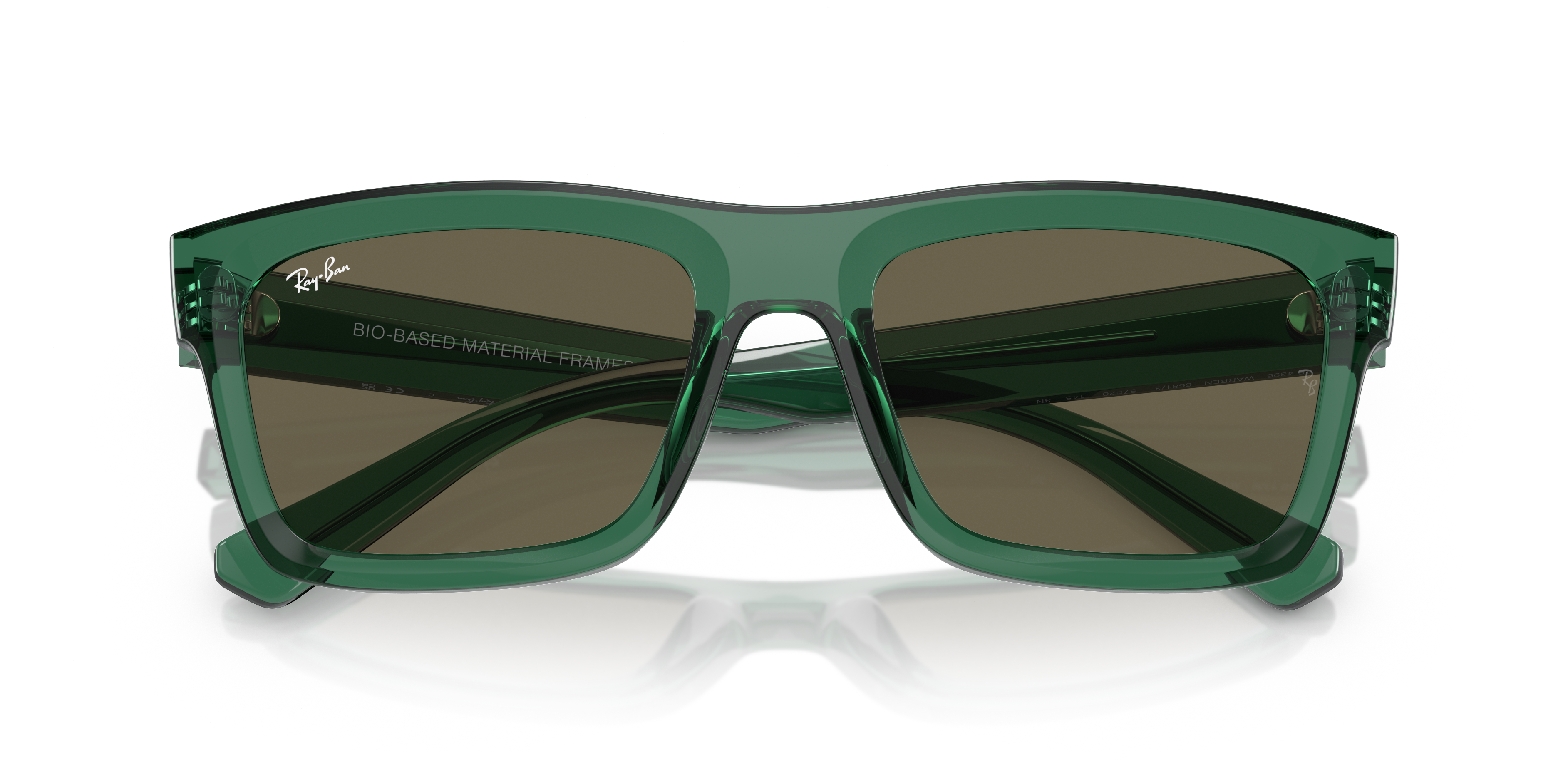 RAY-BAN RB4396 WARREN 6681/3 54