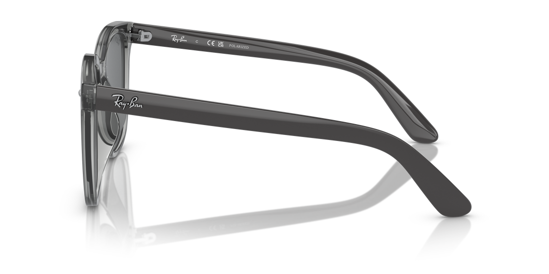 RAY-BAN RB4401D 659981 55