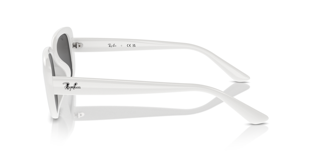 RAY-BAN RB4421D 677287 56 - 17