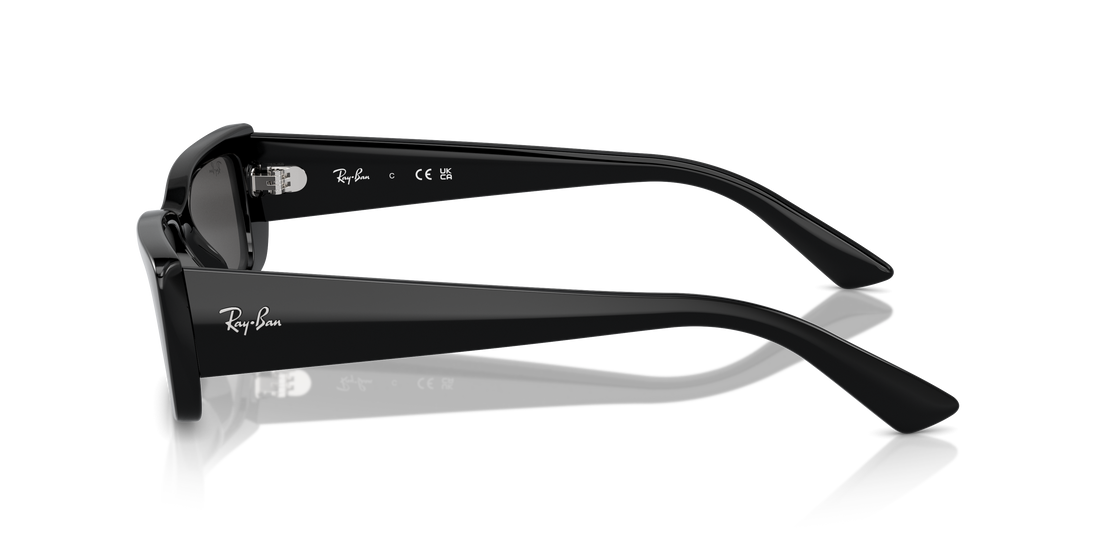 RAY-BAN RB4425 TERU 667787 54