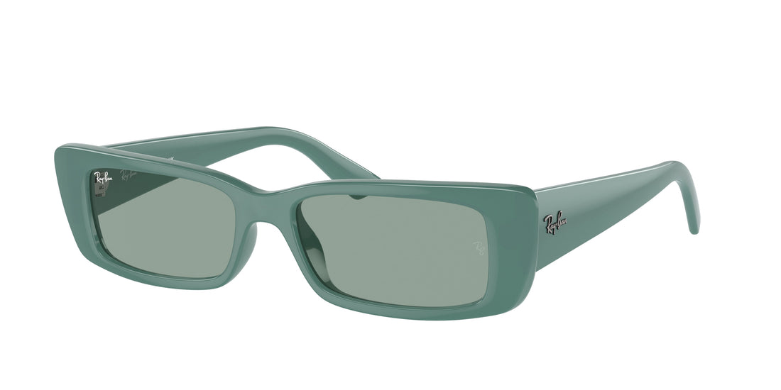 Lunettes de soleil ray-ban rb4425 teru 676282 unisex taille 54mm - Vue principale