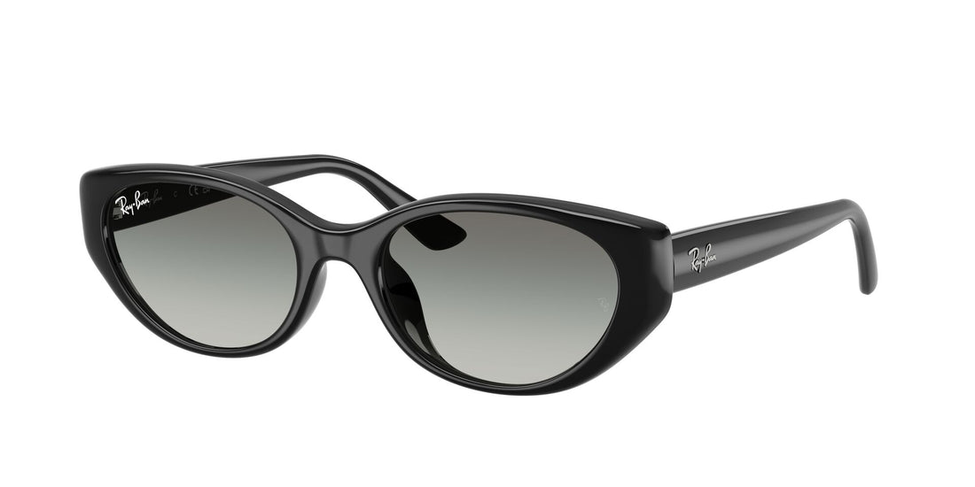 Sonnenbrillen ray-ban rb4457d 667711 negro pillow unisex größe 55mm - Hauptansicht