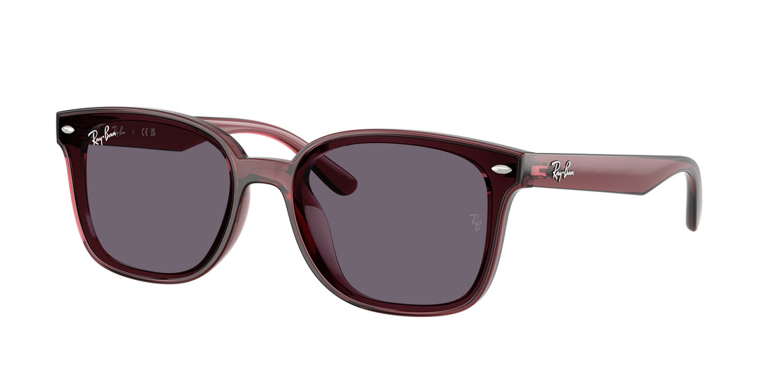 Occhiali da sole ray-ban rb4461d 659373 marron rectangular unisex taglia 64mm - Vista principale