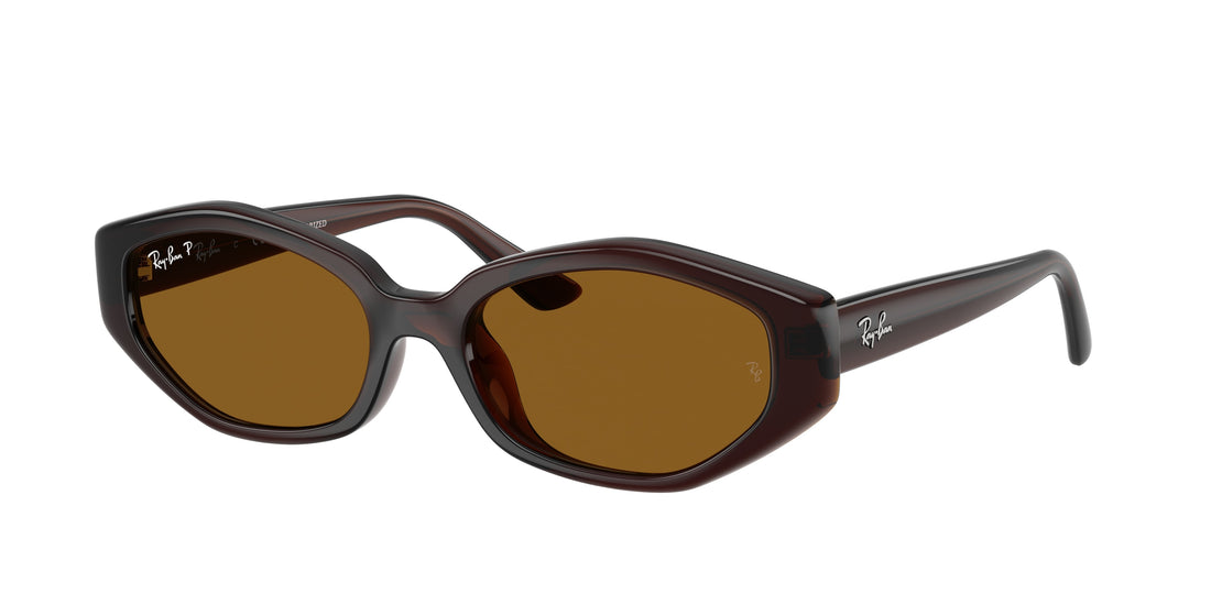 Occhiali da sole ray-ban rb4473d 714/83 marron irregular unisex taglia 56mm - Vista principale