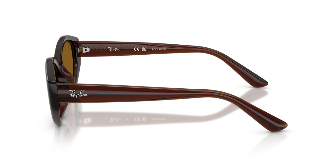 Occhiali da sole ray-ban rb4473d 714/83 marron irregular unisex taglia 56mm - Vista dettagliata