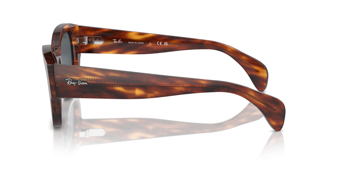 RAY-BAN RB7681S JORGE 954/R5 52