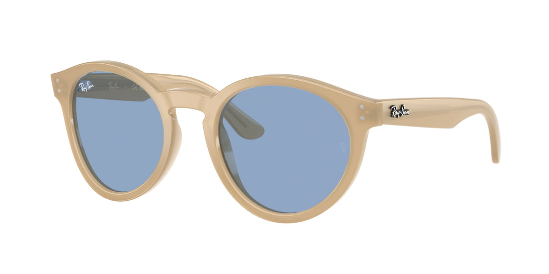 Occhiali da sole ray-ban rbr0505s 678072 marron pantos unisex taglia 52mm - Vista principale