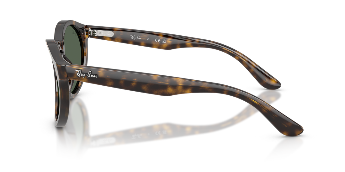 Occhiali da sole ray-ban rbr0505s 6790vr havana pantos unisex taglia 52mm - Vista dettagliata