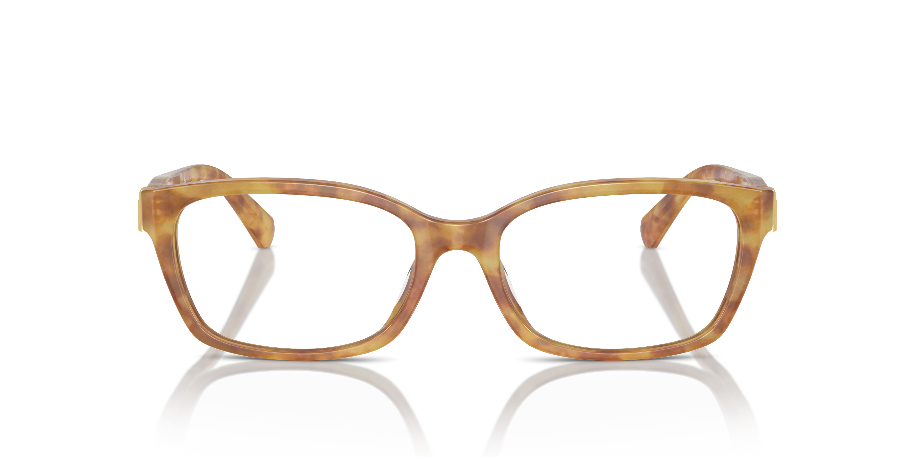 RALPH LAUREN RL6244U 5304 53
