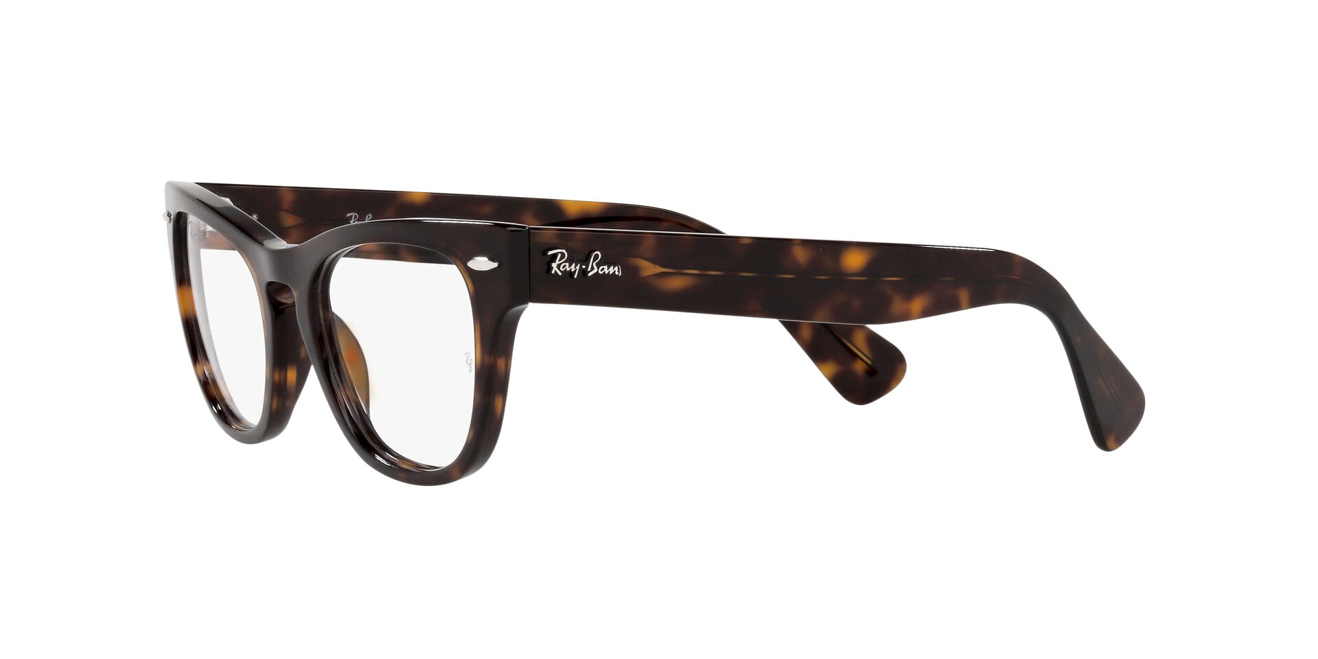 RAY-BAN RX2201V LARAMIE 2012 54