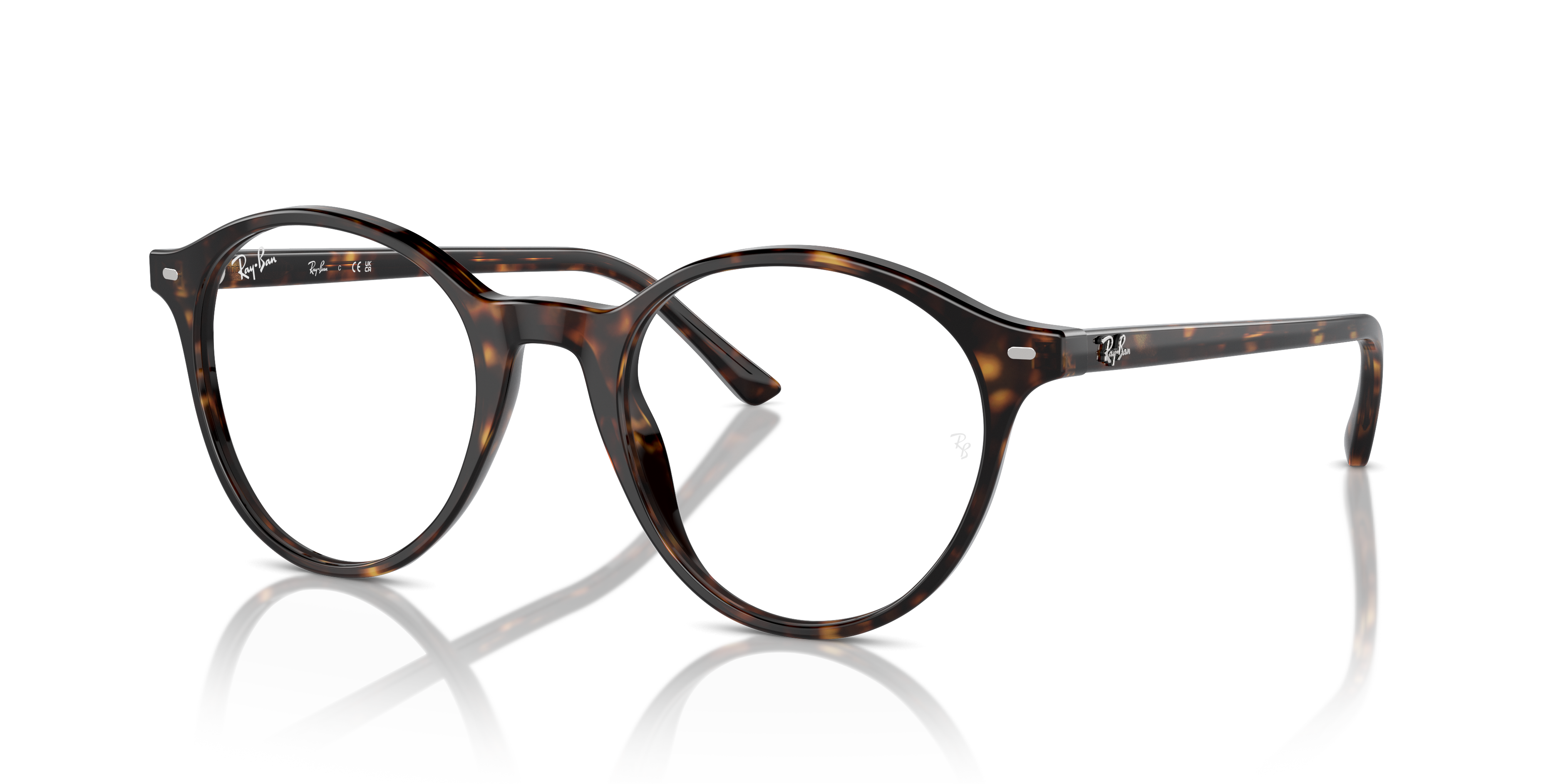 Ray-Ban RX5430 Bernard 2012 51