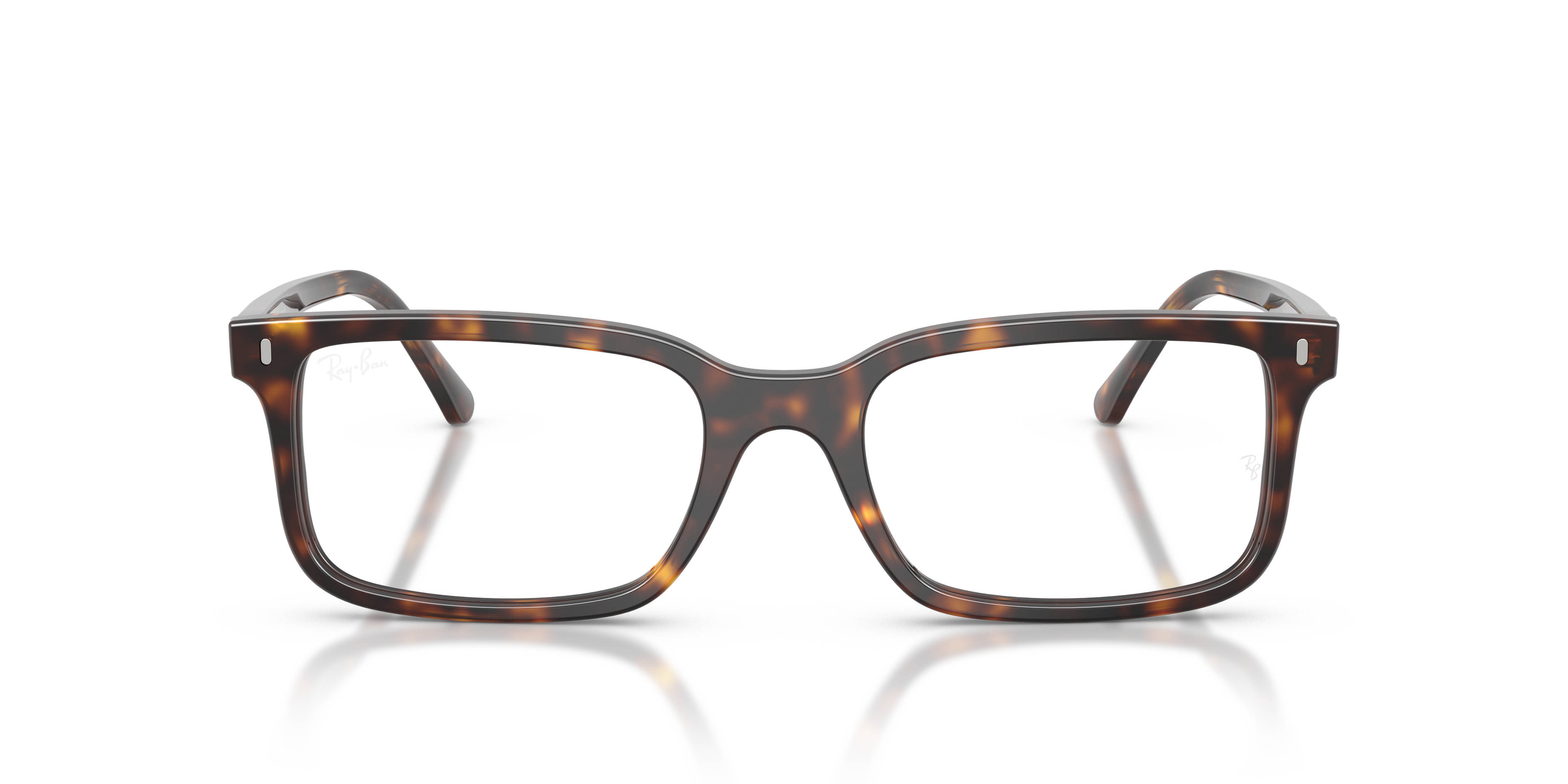 RAY-BAN RX5445 2012 54