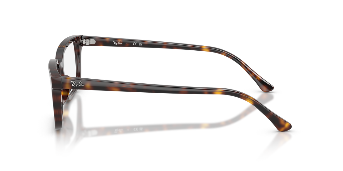 RAY-BAN RX5445 2012 52