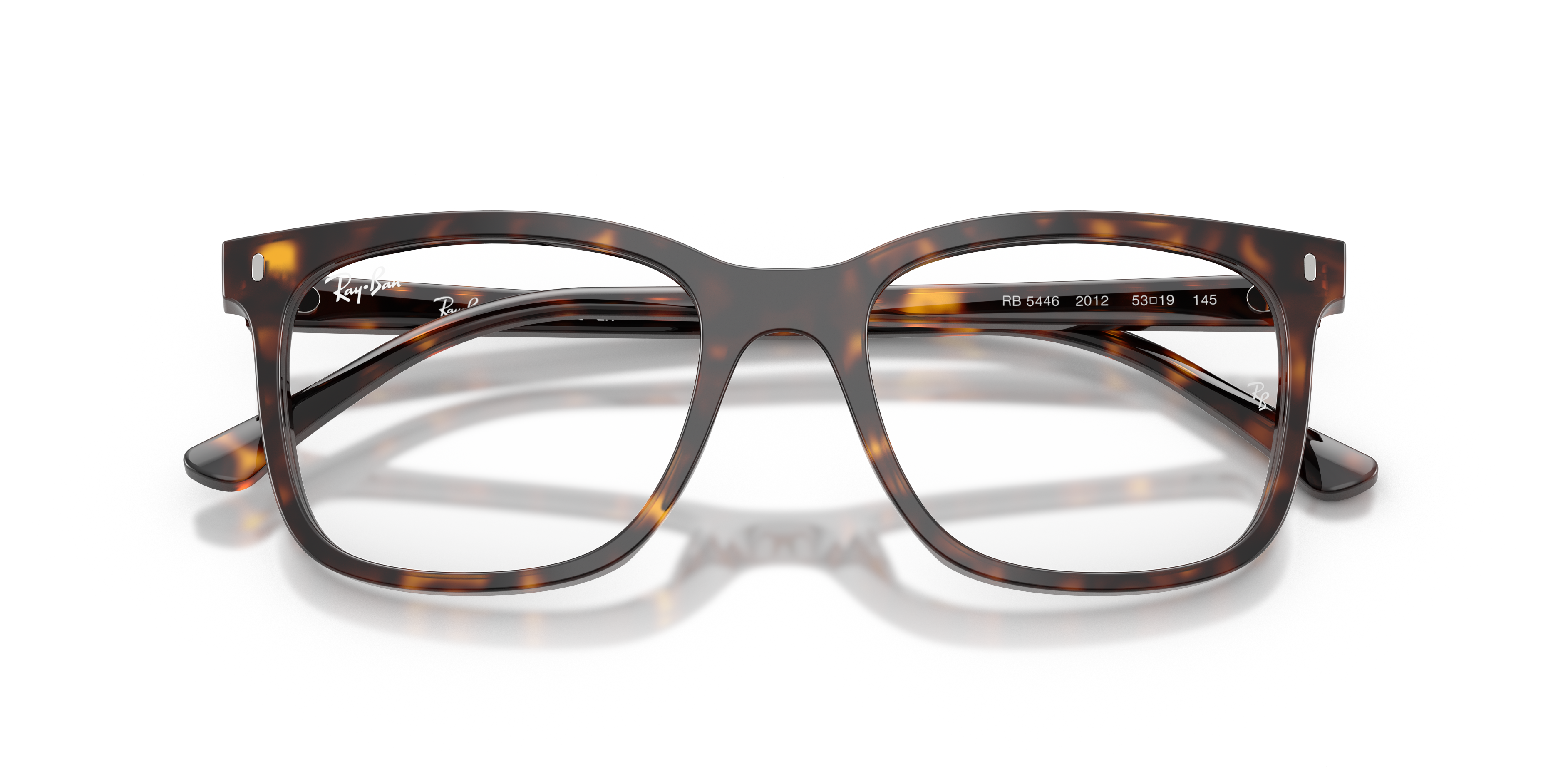 RAY-BAN RX5446 2012 53