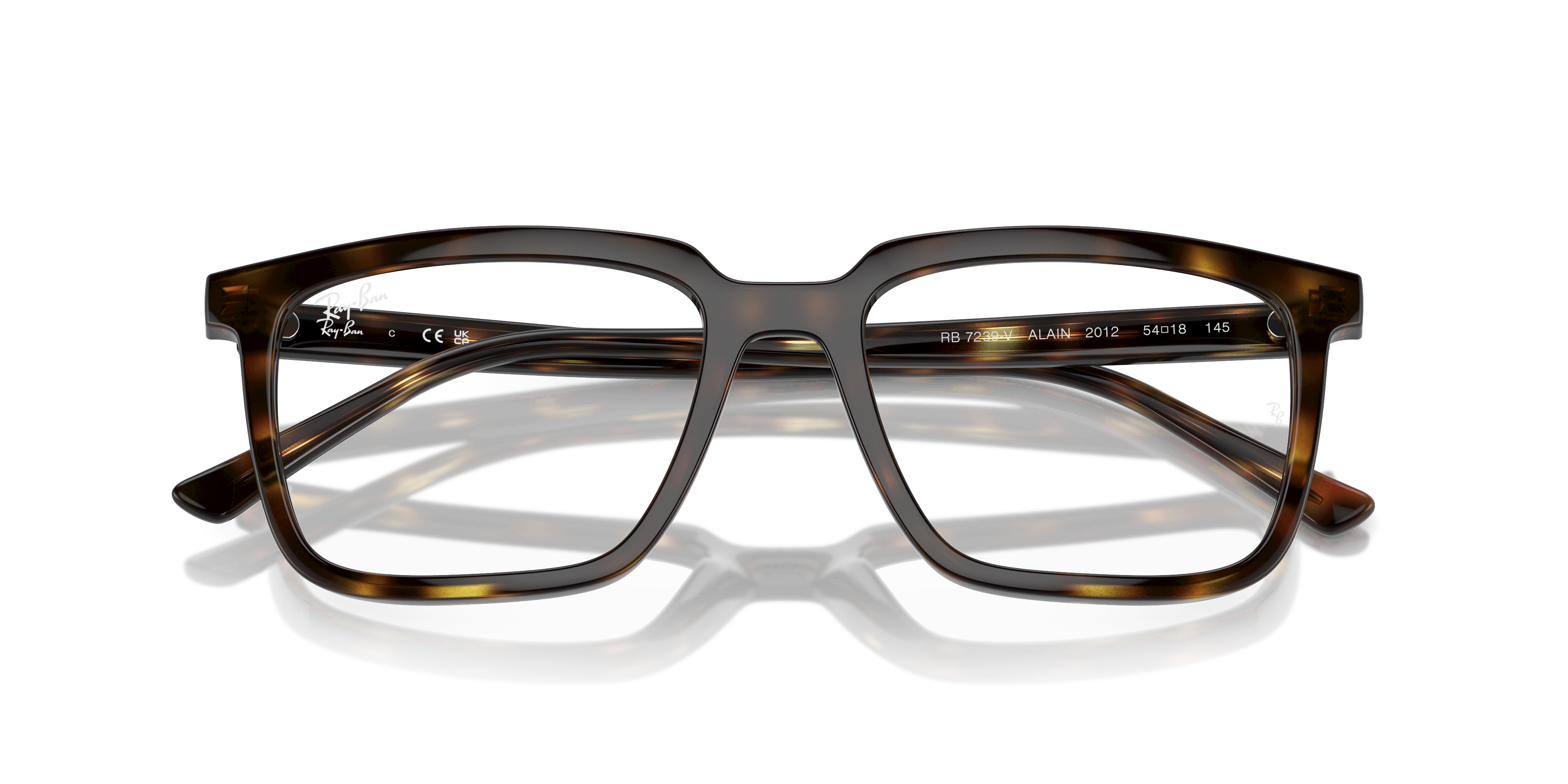 RAY-BAN RX7239 ALAIN 2012 54