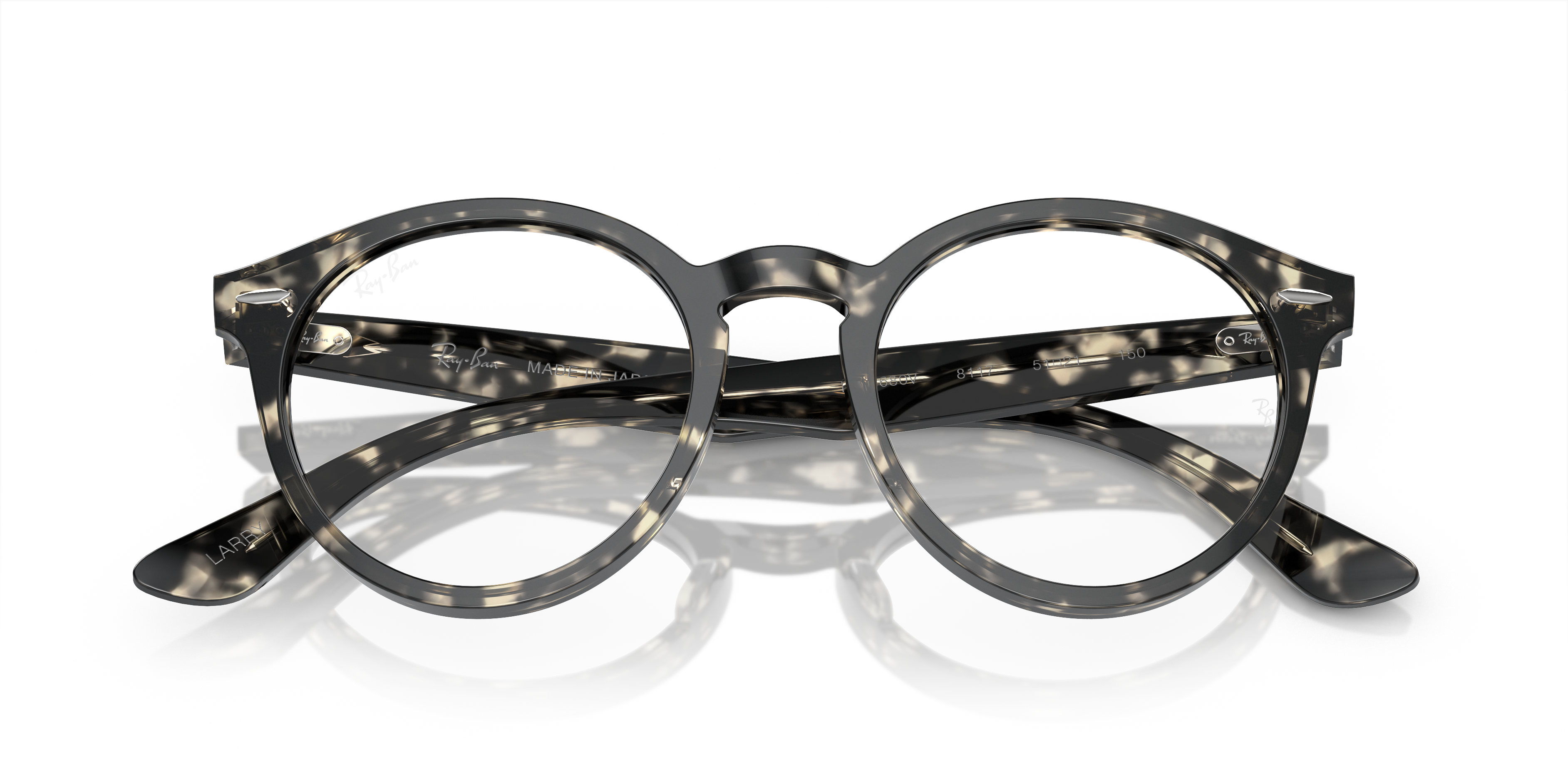 RAY-BAN RX7680V LARRY 8117 49