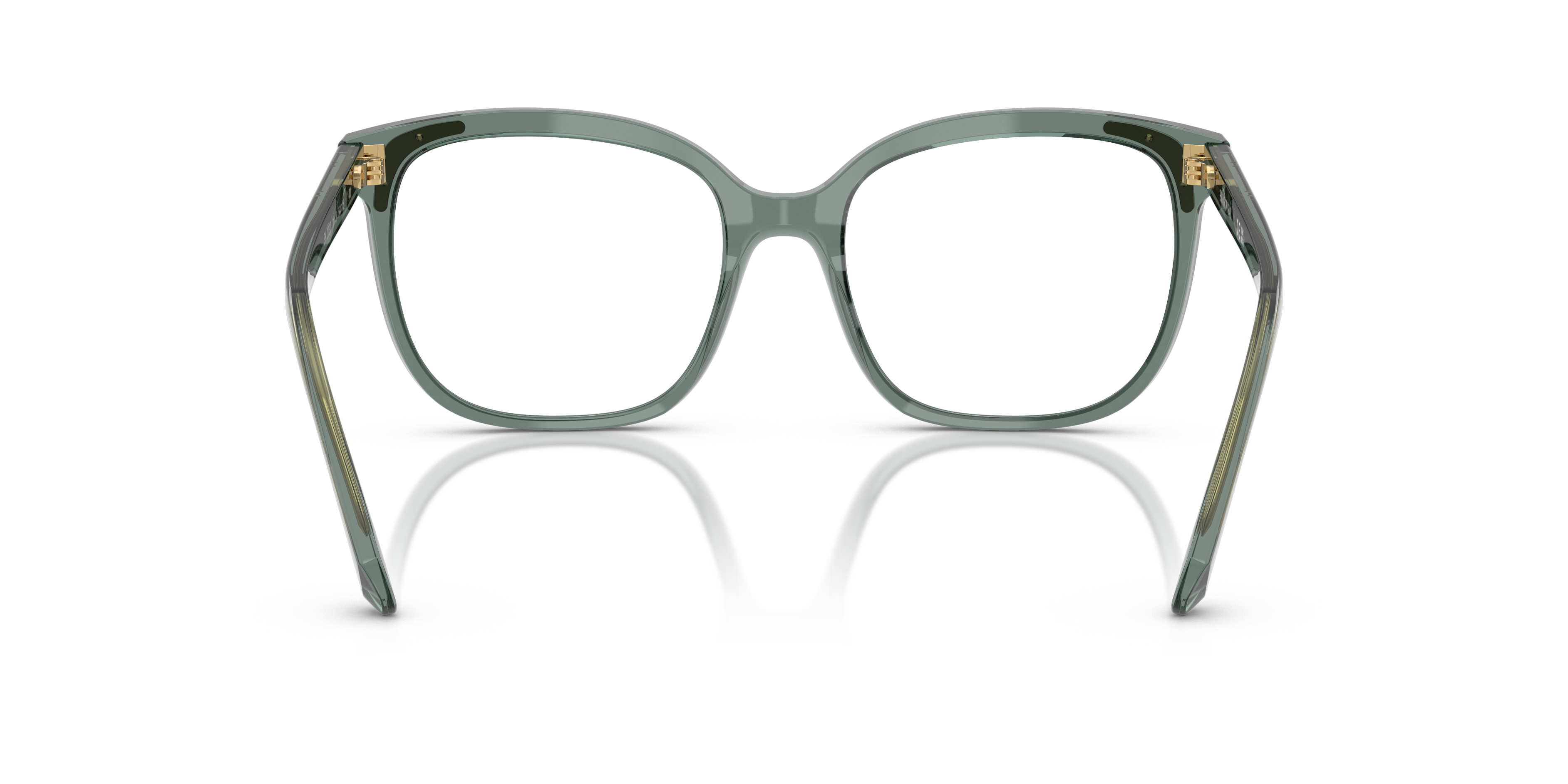 SWAROVSKI SK2033 1043 52