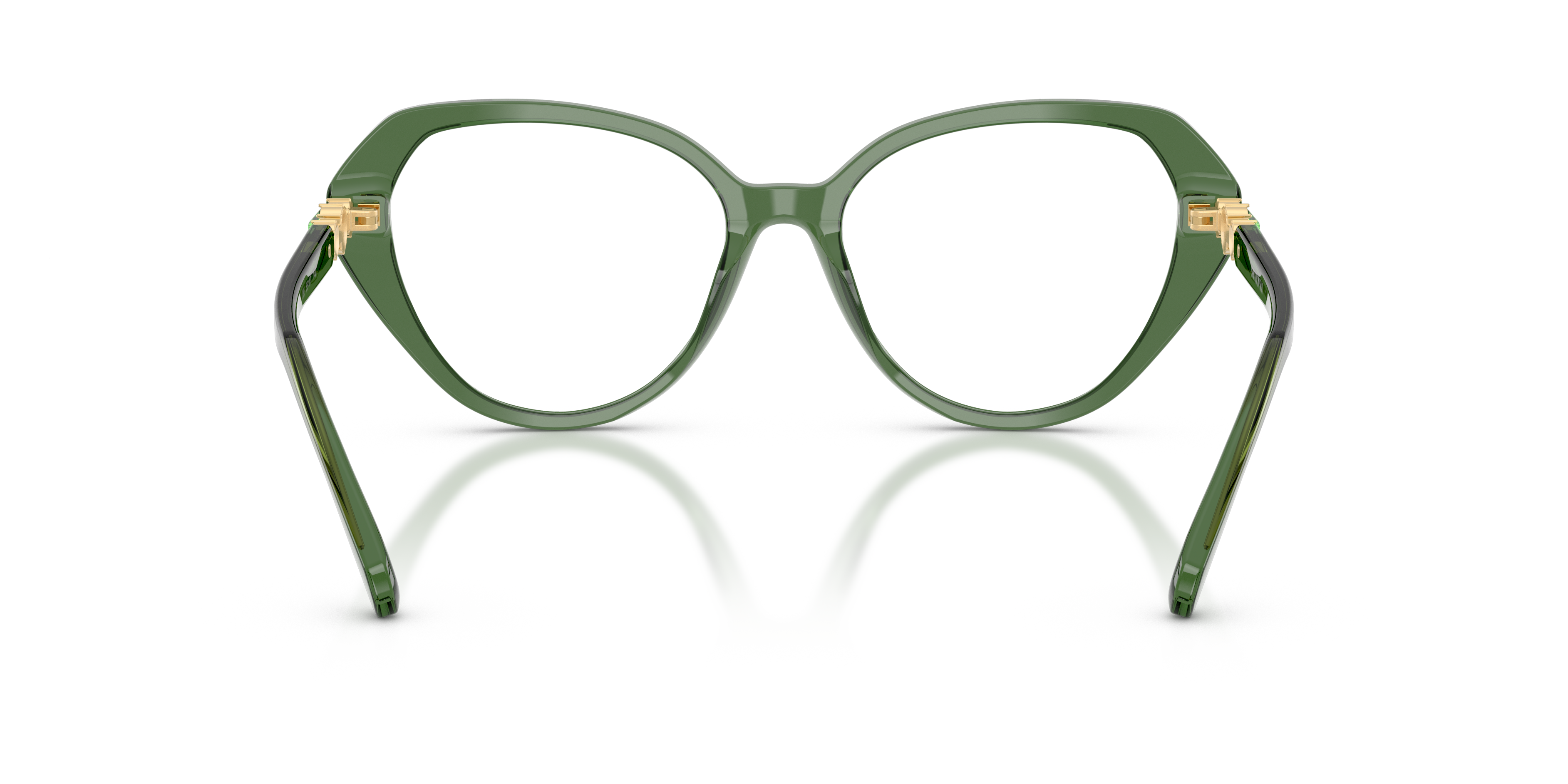 SWAROVSKI SK2054 1085 55