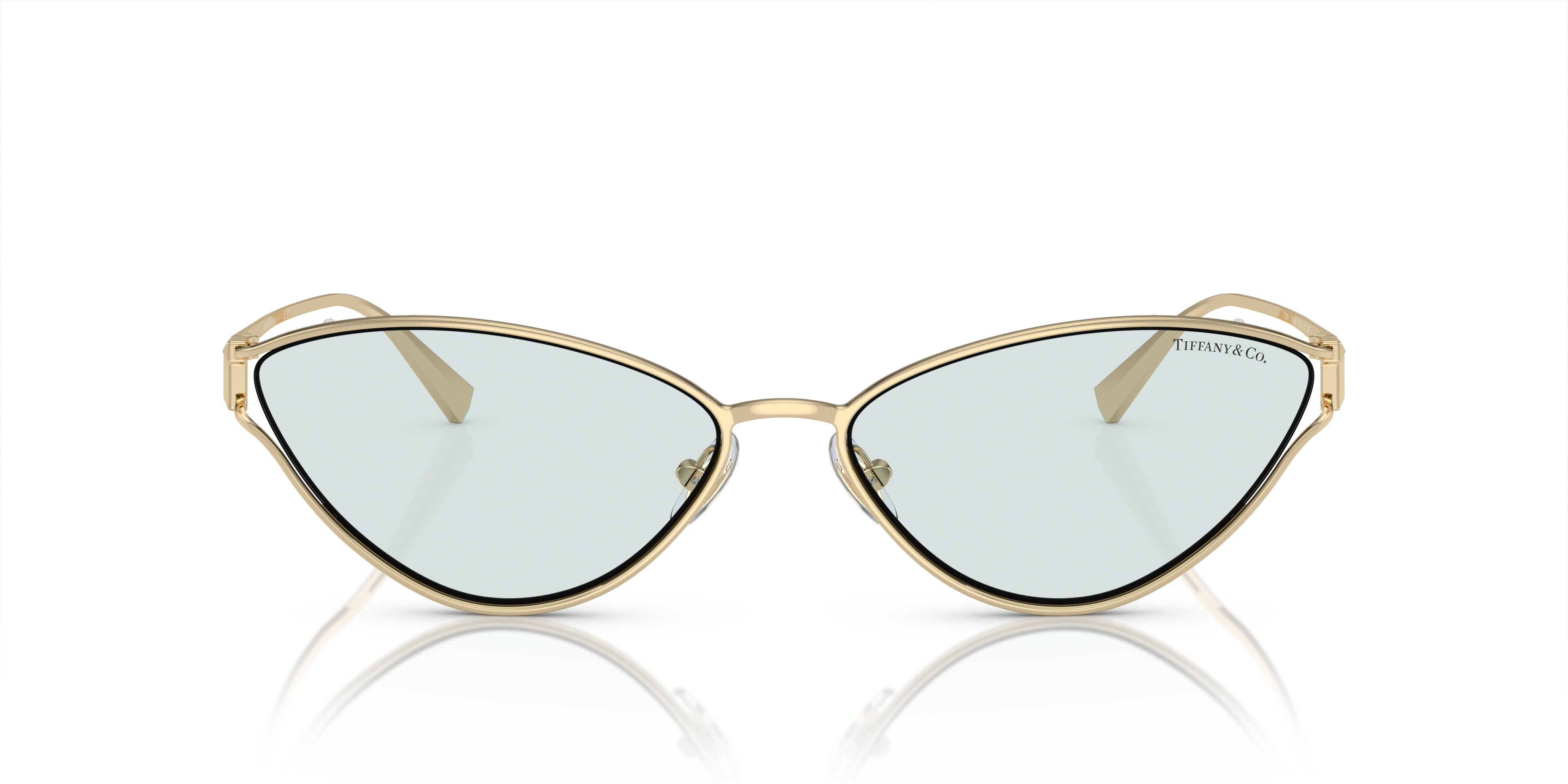 TIFFANY TF3095 6196MF 61