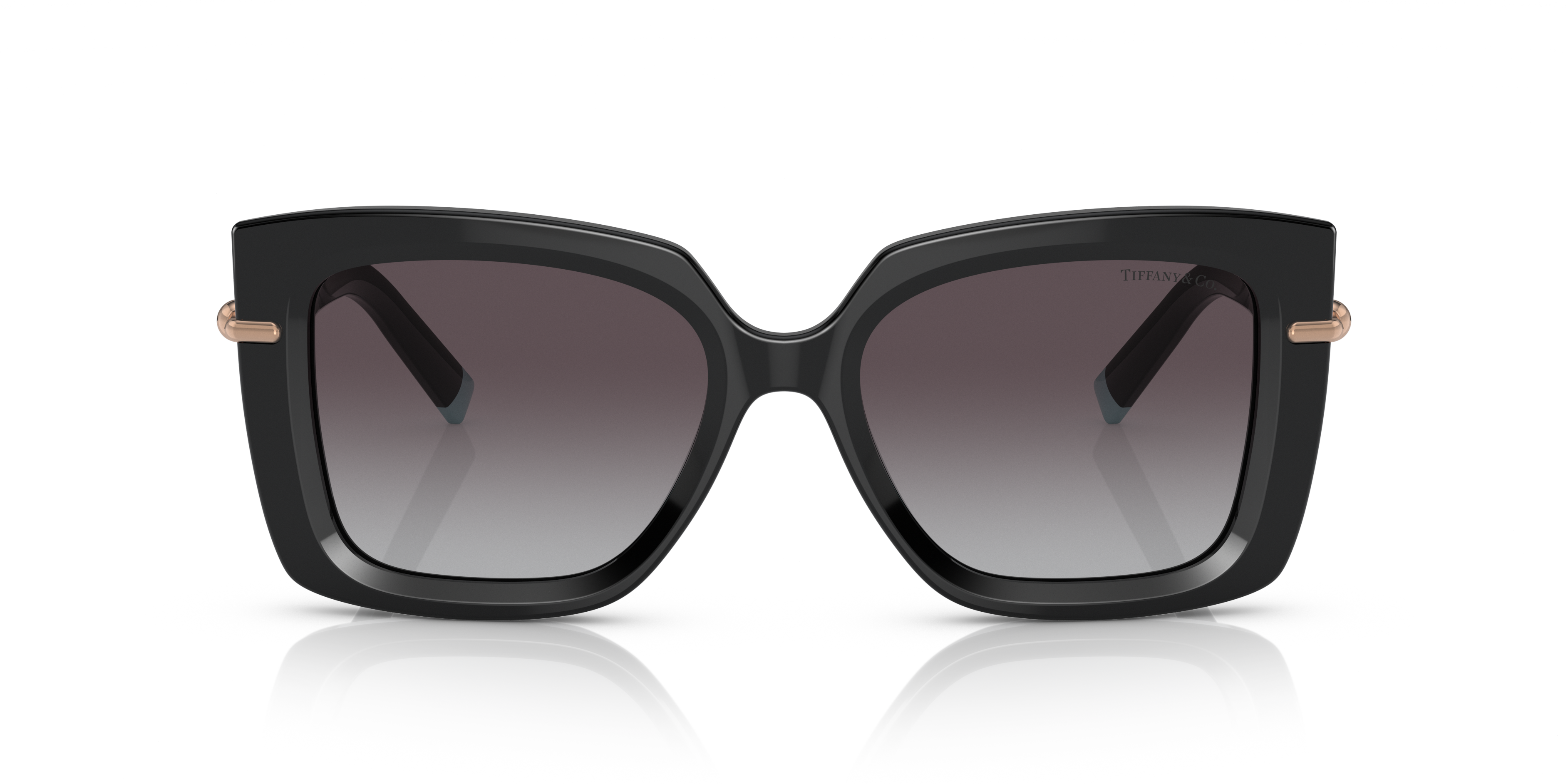 TIFFANY TF4199 80013C 53