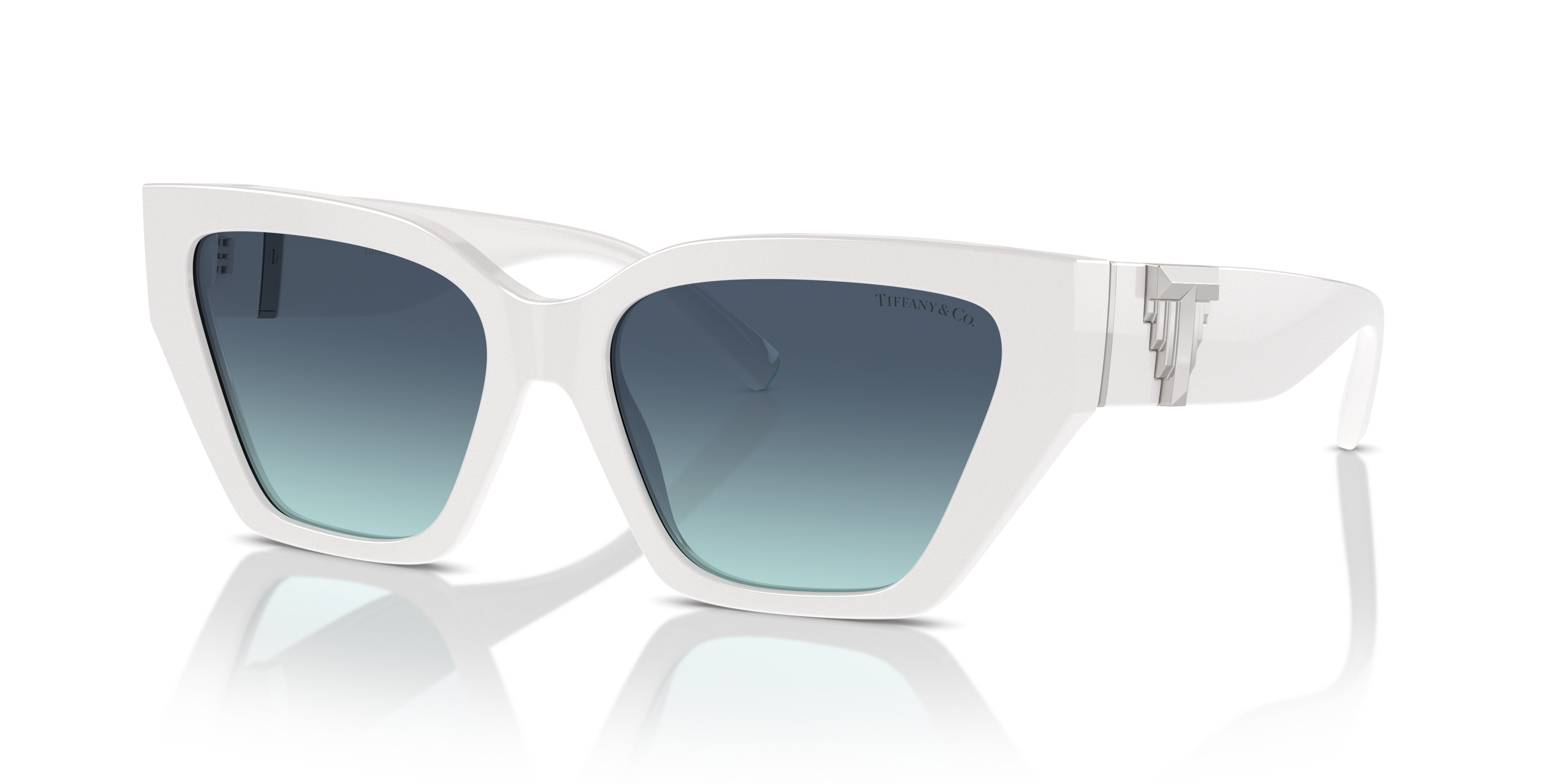 TIFFANY TF4218 83929S 55