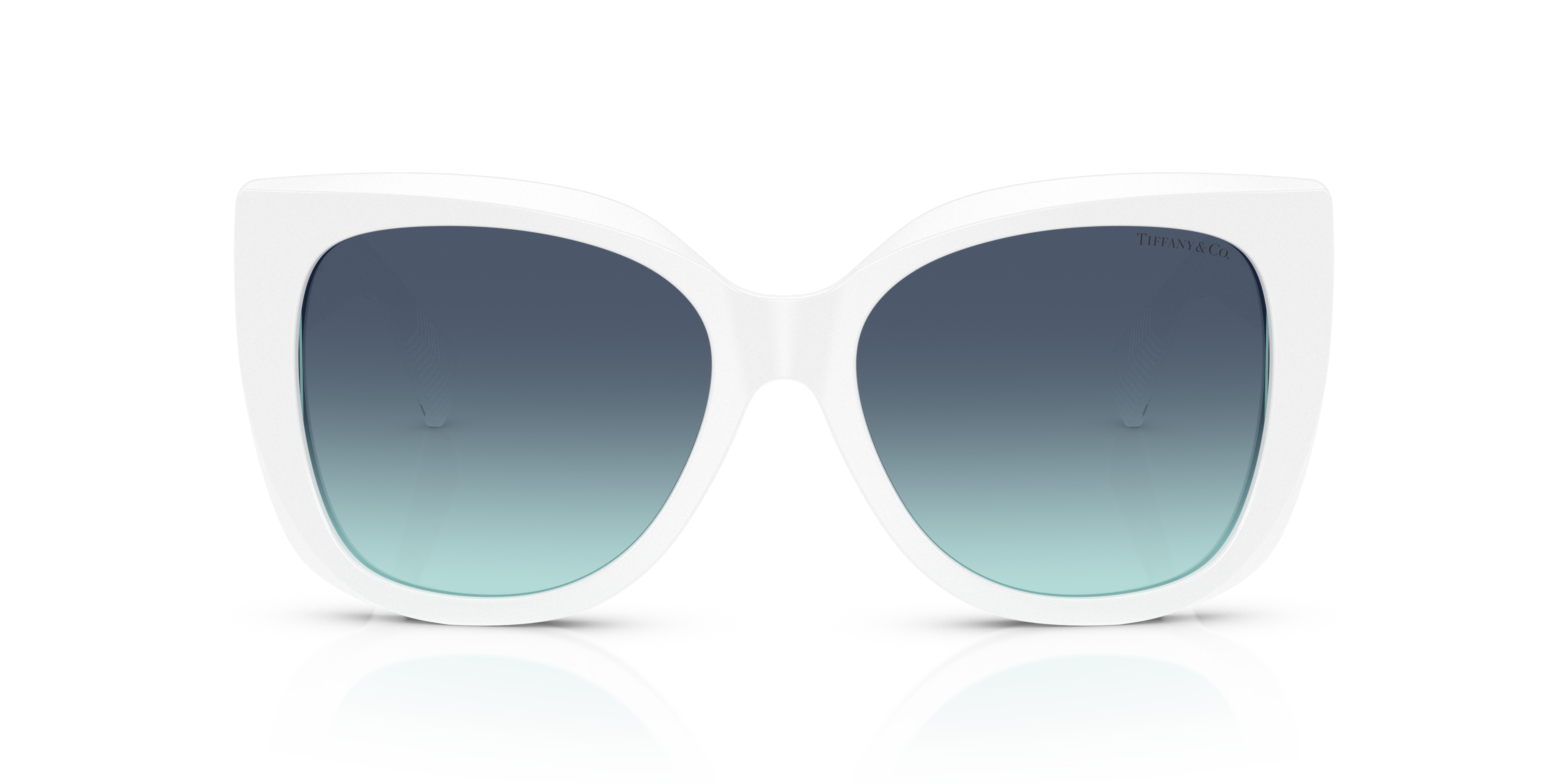 TIFFANY TF4229 83929S 55