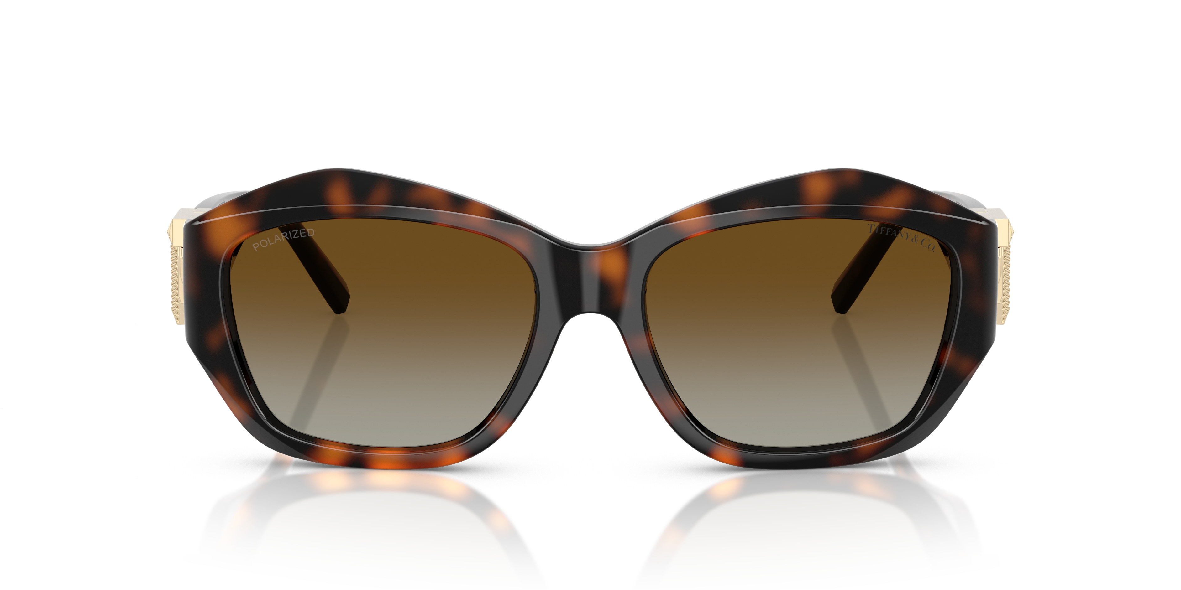 TIFFANY TF4233U 8015T5 54