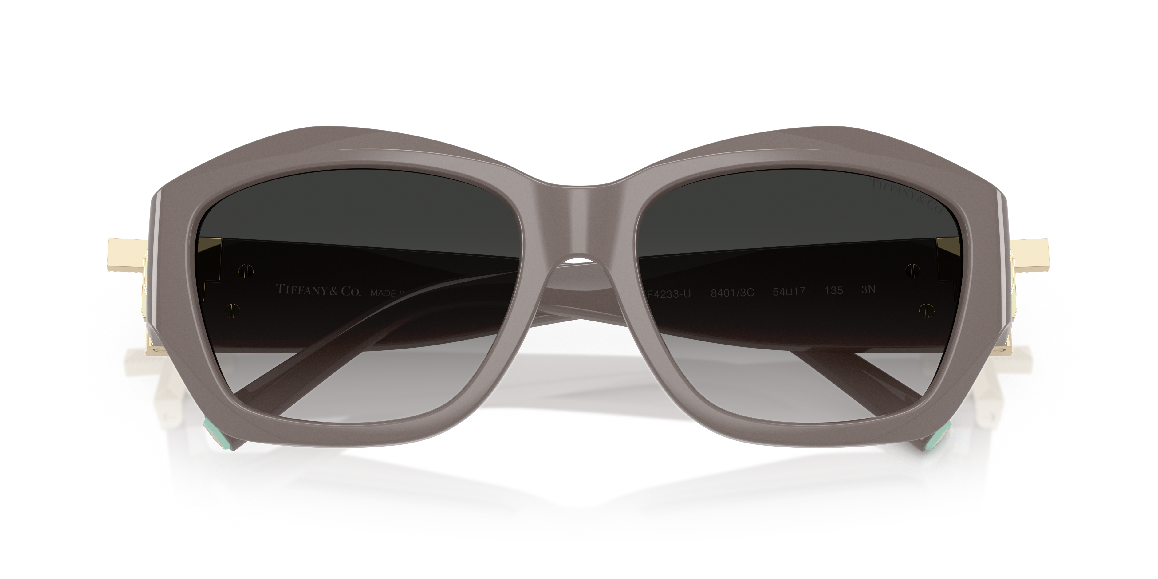 TIFFANY TF4233U 84013C 54