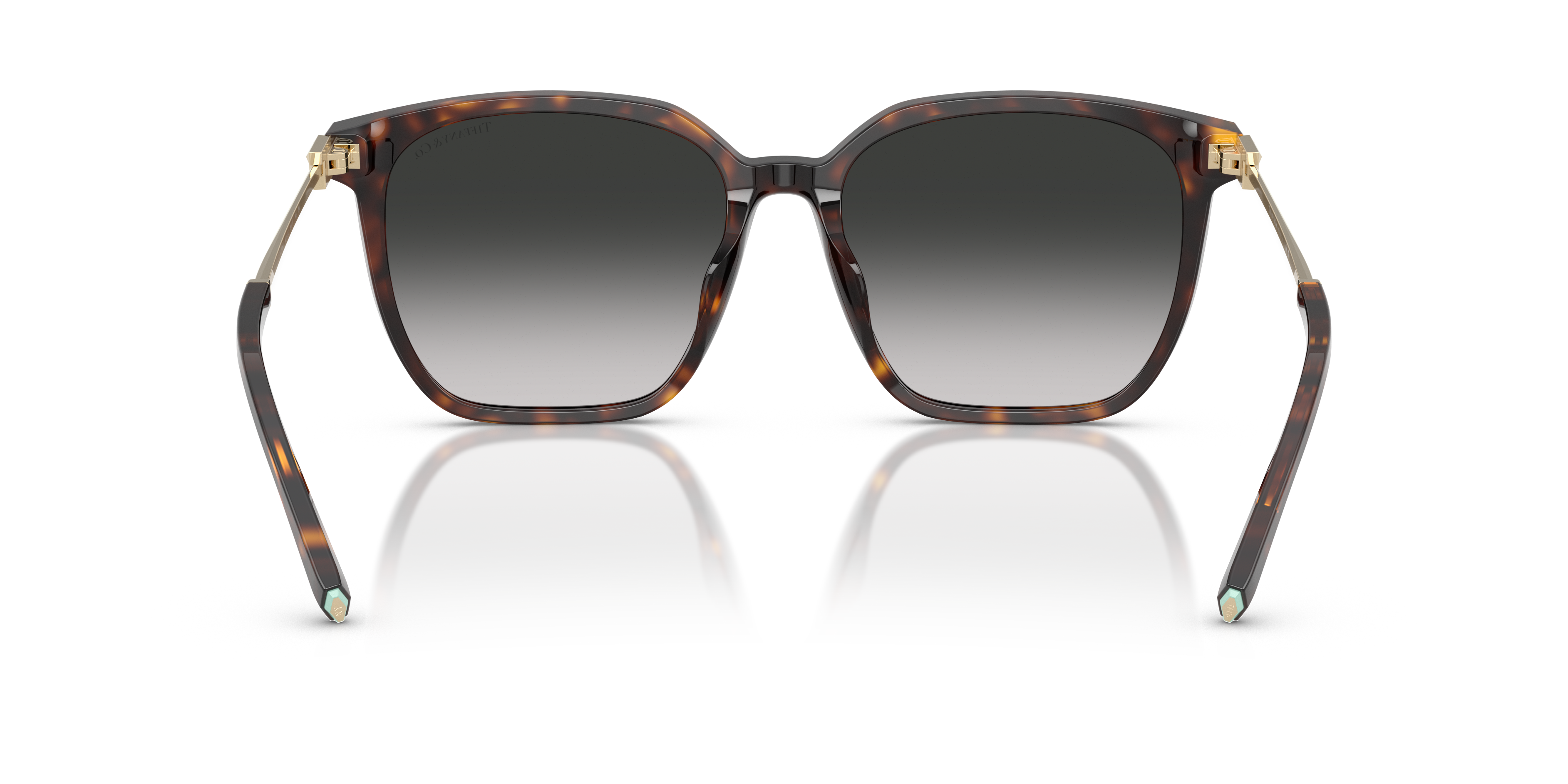 TIFFANY TF4244D 80153C 56