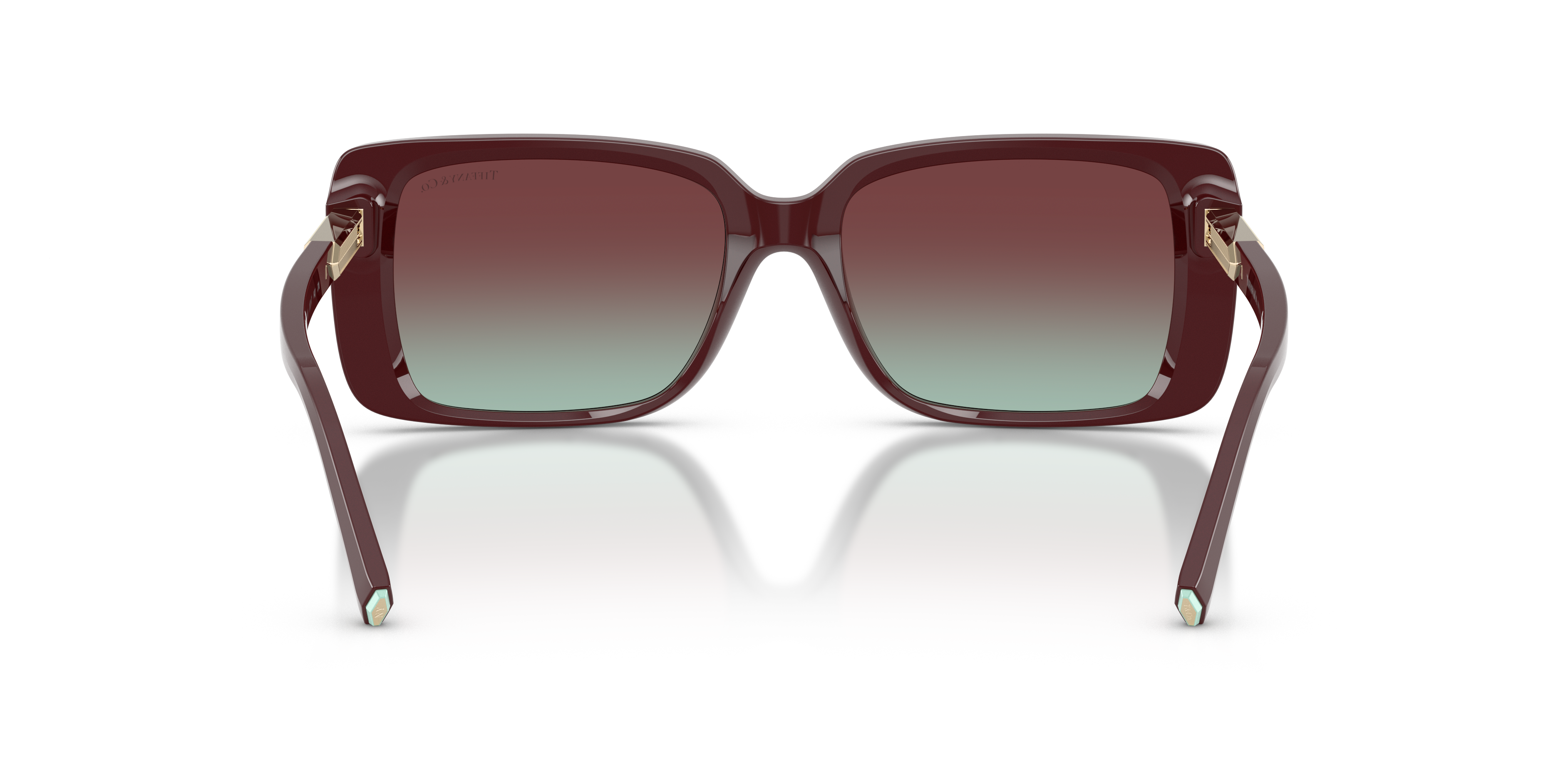 TIFFANY TF4249 8389V5 55