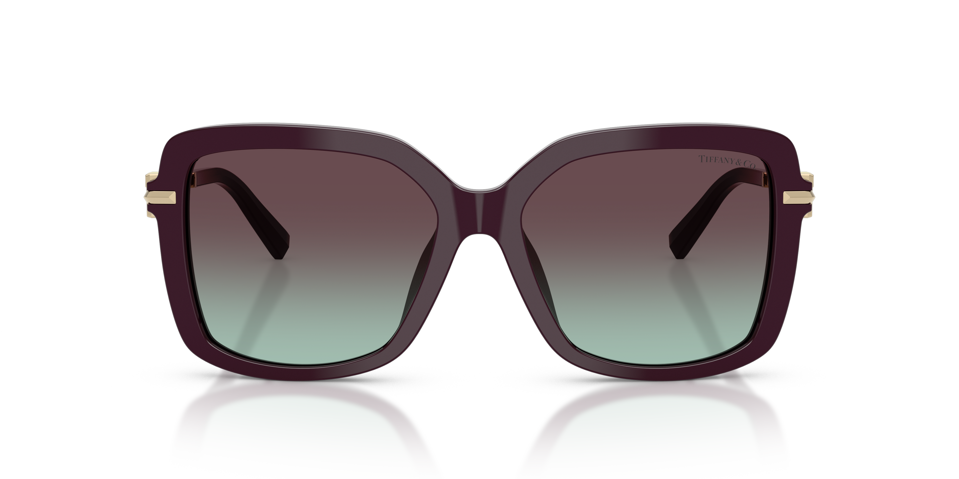 TIFFANY TF4252B 8427V7 55