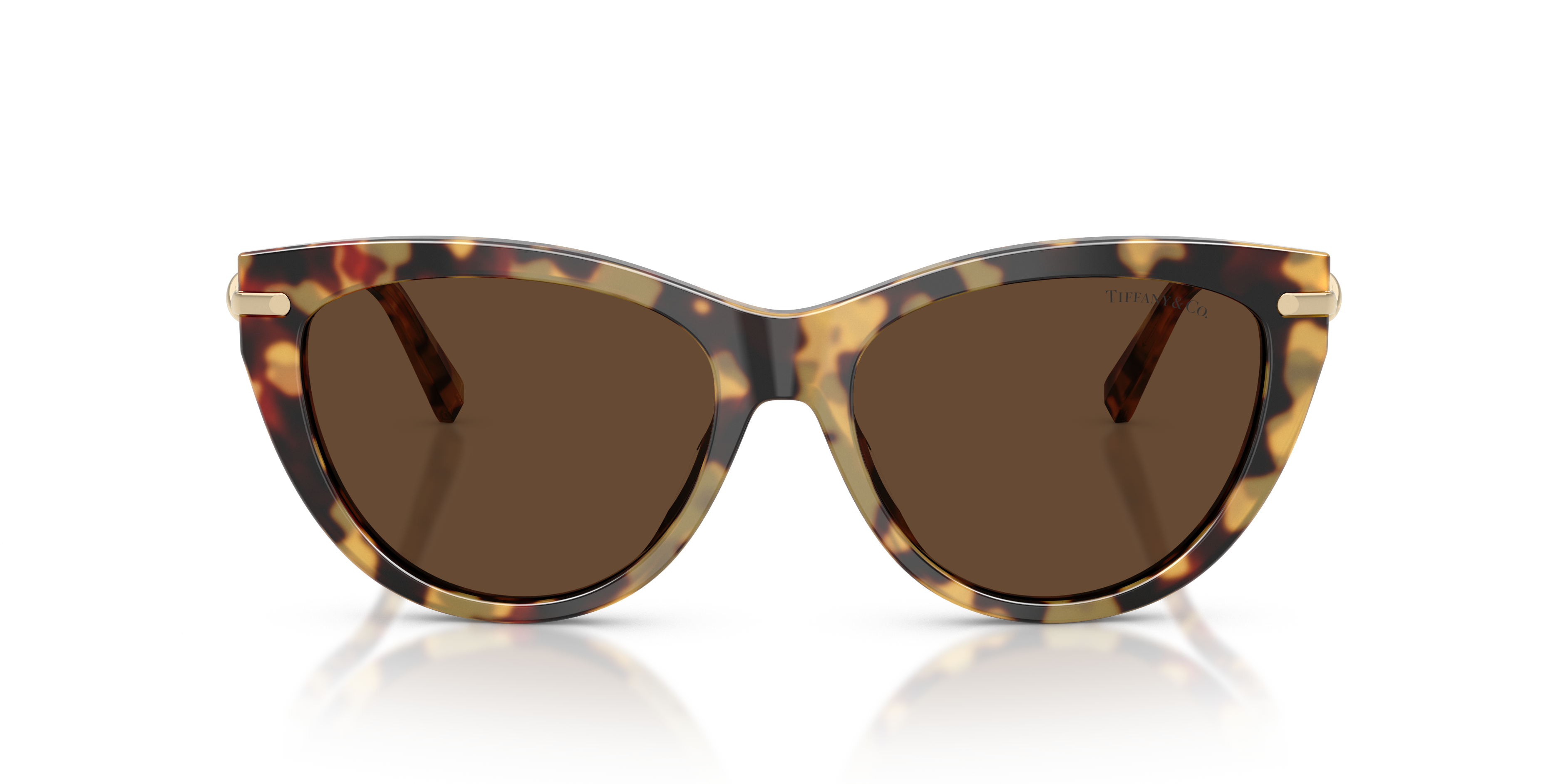 TIFFANY TF4253 80643G 55