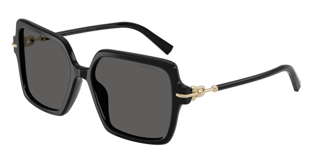 Sonnenbrillen tiffany tf4260u 8001s4 negro square femenino größe 57mm - Hauptansicht
