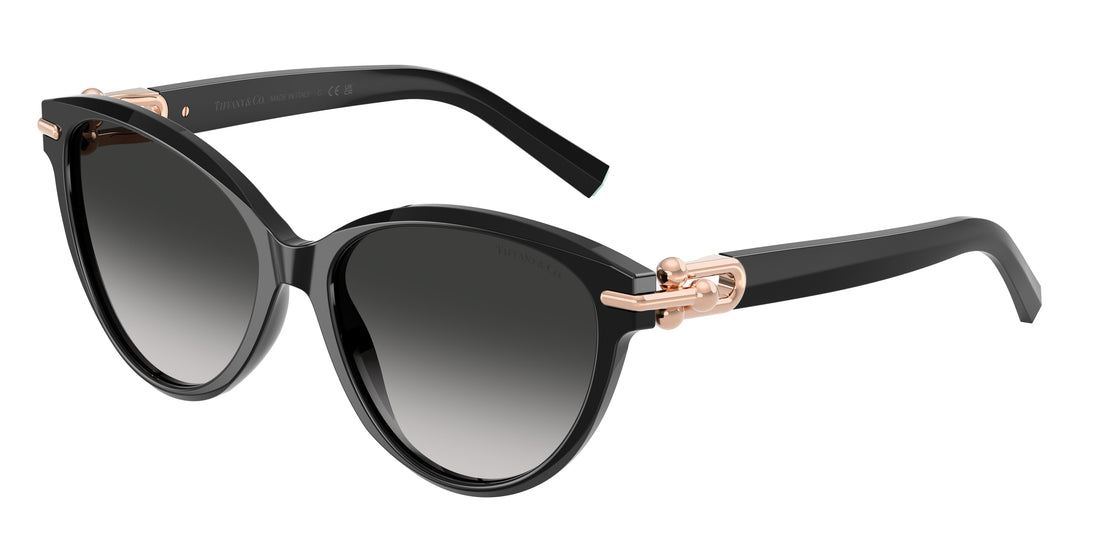 Sonnenbrillen tiffany tf4261 80013c negro cat eye femenino größe 56mm - Hauptansicht