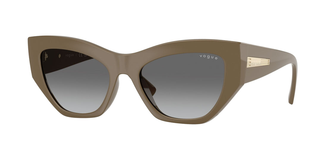 VOGUE EYEWEAR VO5607S 317511 53