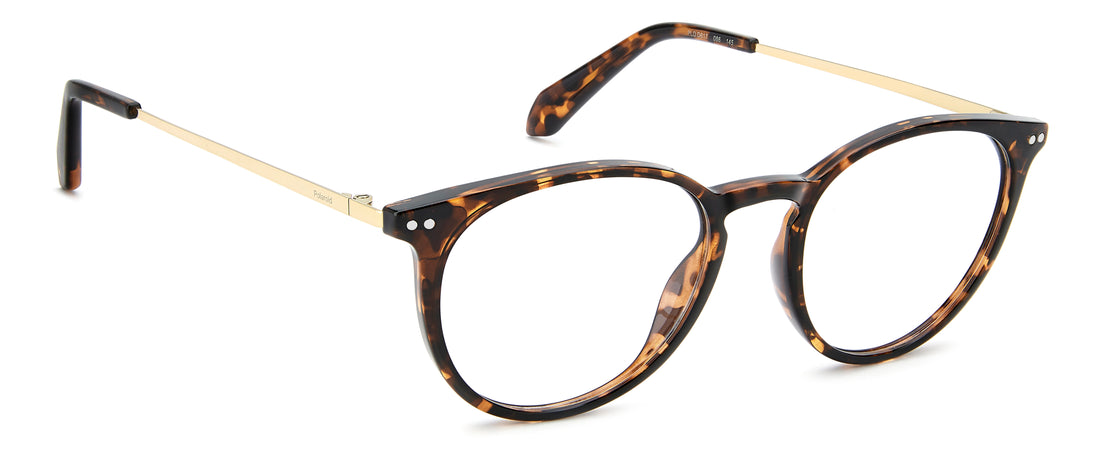 Gafas graduadas polaroid pld d617 086 havana pantos masculino talla 50mm - Vista de detalle