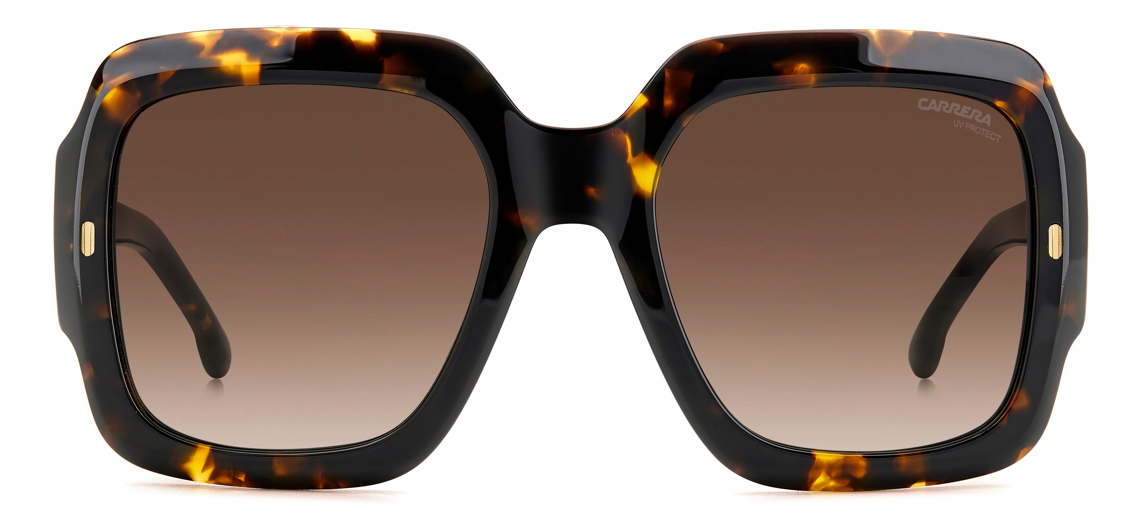 CARRERA 3004/S 086 HA 54